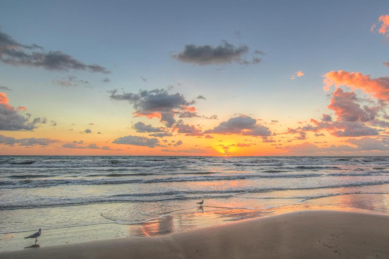 Aquarius Condominiums #504 South Padre Island Dış mekan fotoğraf